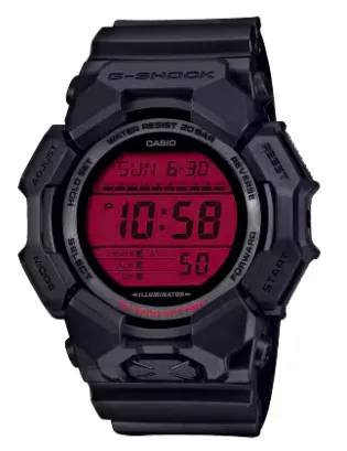 CASIO