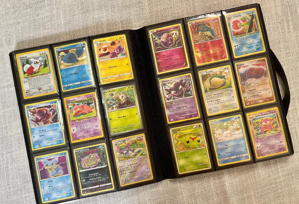 Pokeddom Interview