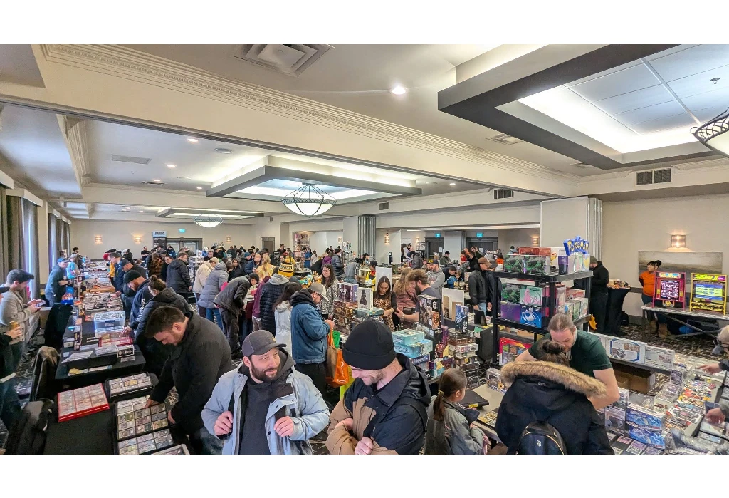 Pokeddom Interview