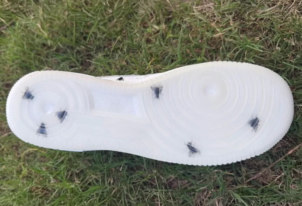 Nike Air Force 1 Low Houseflies