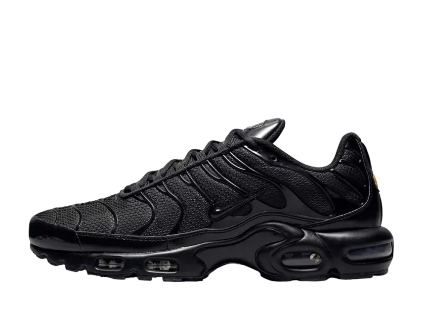 7 Best Shoes for Flat Feet - Nike Air Max Plus