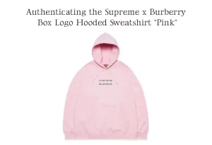 Real vs. Fake: Authenticating the Supreme x Burberry Box Logo Hoodie