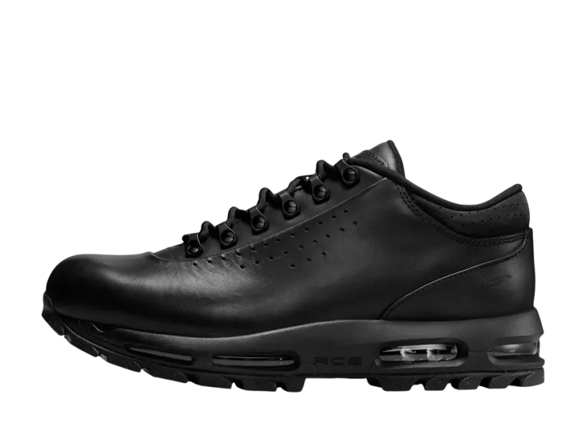 Nike Air Max Goadome Low SP 