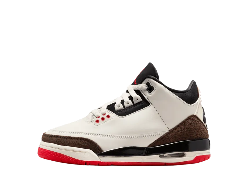 Nike GS Air Jordan 3 