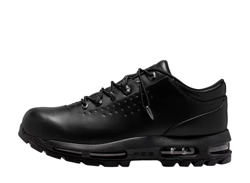 Nike Air Max Goadome Low 